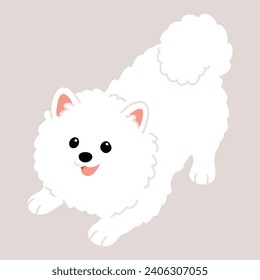 Simple y adorable ilustración de Perro Spitz japonés siendo juguetón de color plano