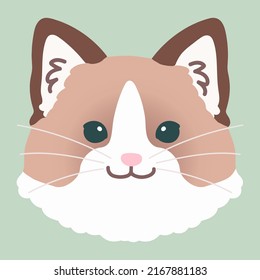 Simple and adorable illustration of ragdoll cat face flat colored