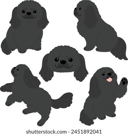 Simple and adorable illustration set of black Pekingese dog flat colored