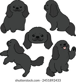 Simple and adorable illustration set of black Pekingese dog