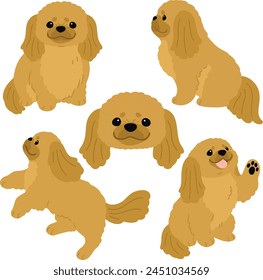 Simple and adorable illustration set of Pekingese dog flat colored