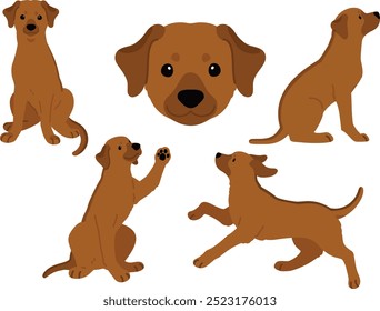 Simple and adorable illustration set of Rhodesian Ridgeback