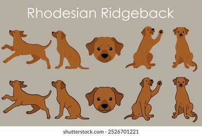 Simple and adorable illustration set of Rhodesian Ridgeback