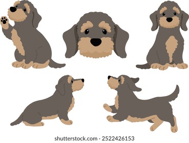 Simple and adorable illustration set of Wire Haired Dachshund