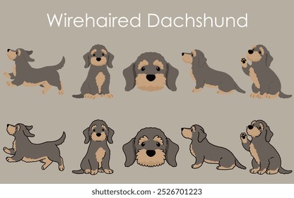 Simple and adorable illustration set of Wire Haired Dachshund