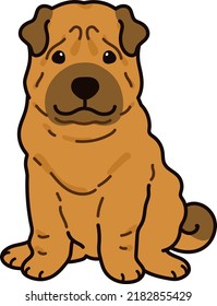 Simple and adorable illustration of Shar-Pei Dog sitting in front view