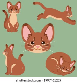 Simple and adorable illustrations of Abyssinian cat flat colored