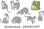 Simple and adorable illustrations of Grey Tabby Cat flat colored