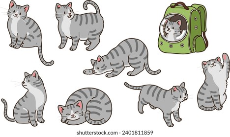 Simple and adorable illustrations of Grey Tabby Cat outlined