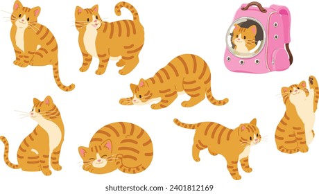 Simple and adorable illustrations of Orange Tabby Cat flat colored