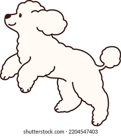 Dibujo simple y adorable del perro de Poodle de color blanco