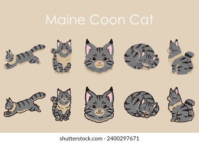 Simple and adorable Maine Coon Cat illustrations set