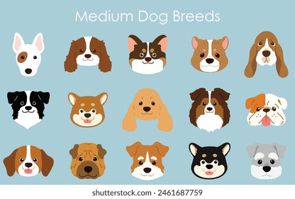 Simple and adorable medium dog breeds faces illustration set