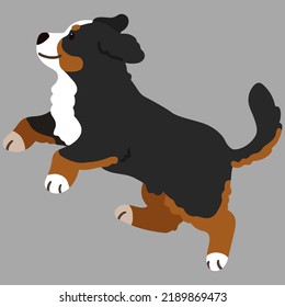 Simple and adorable Mountain Dog illustration jumping flat colored