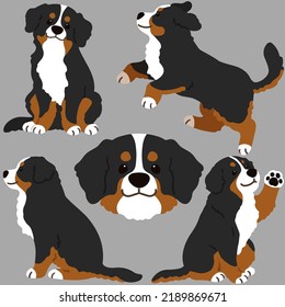 Simple and adorable Mountain Dog illustrations flat colored