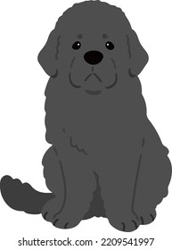 Simple and adorable Newfoundland dog illustration sitting in front view flat colored