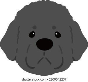 Simple and adorable Newfoundland dog illustration front face flat colored