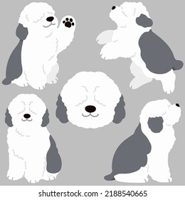 Sencillas y adorables ilustraciones de Old English Sheepdog de colores planos