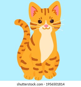 Simple and adorable Orange Tabby cat sitting in front view flat colored