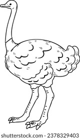 Simple and adorable Ostrich illustration with outlines only