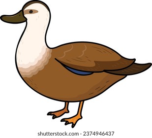 Simple and adorable outlined Brown Duck illustration 