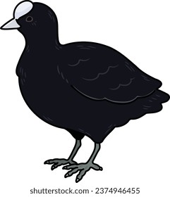Dibujo Fulica atra simple y adorable