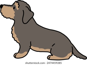 Simple and adorable outlined illustration of Wire Haired Dachshund sitting in side view