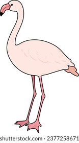 Simple and adorable outlined pink Flamingo illustration