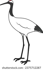 Simple and adorable outlined Red-crowned crane illustration