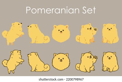 Simple and adorable Pomeranian illustrations set