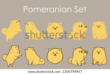 Simple and adorable Pomeranian illustrations set