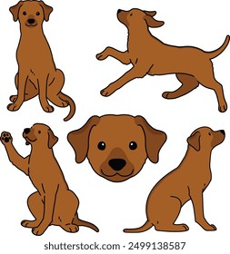 Simple and adorable Rhodesian Ridgeback illustrations outlined