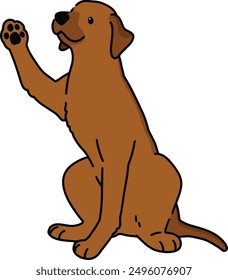 Simple and adorable Rhodesian Ridgeback lifting a paw outlined