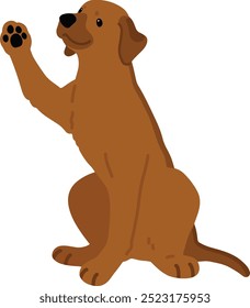 Simple and adorable Rhodesian Ridgeback lifting a paw