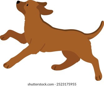 Simple and adorable Rhodesian Ridgeback running in side view