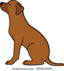 Simple and adorable Rhodesian Ridgeback sitting in side view outlined