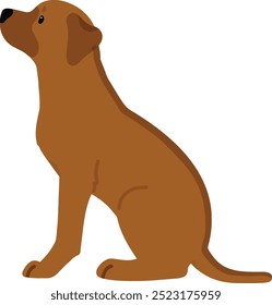 Simple and adorable Rhodesian Ridgeback sitting in side view