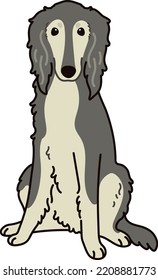 Simple and adorable Saluki dog illustration sitting in front view