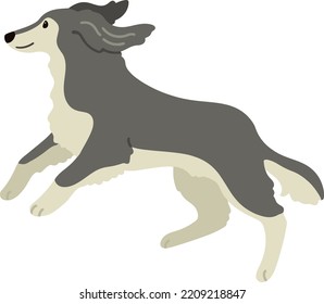 Simple and adorable Saluki dog illustration jumping flat colored