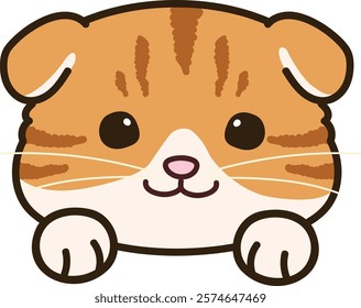 Simple and adorable Scottish Fold Cat front face with paws