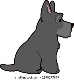 Simple and adorable Scottish Terrier illustration sitting in side view