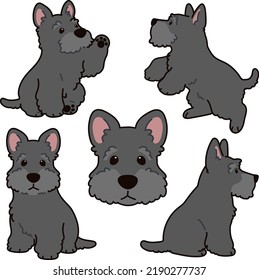Simple and adorable Scottish Terrier illustrations