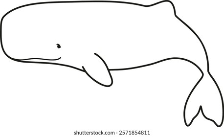 Simple and adorable Sperm Whale line art illustration