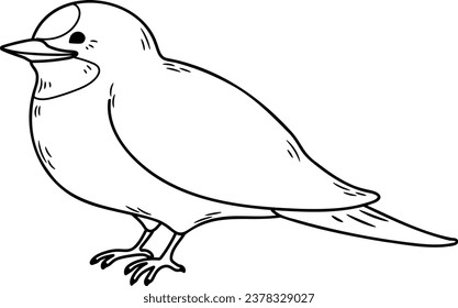 Ilustración de Swallow simple y adorable con sólo contornos
