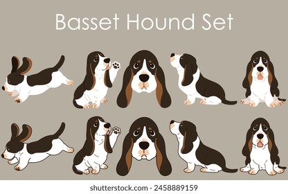 Simple and adorable tri colored Basset Hound illustrations set