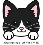 Simple and adorable Tuxedo Cat front face with paws