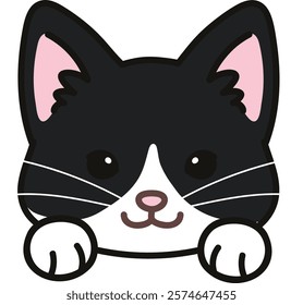 Simple and adorable Tuxedo Cat front face with paws