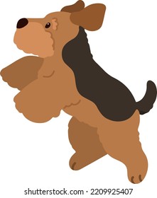 Simple and adorable Welsh Terrier illustration Jumping flat colored