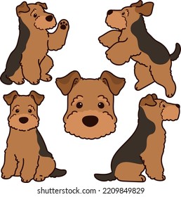 Simple and adorable Welsh Terrier illustrations