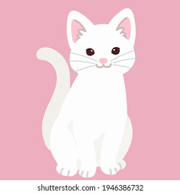 Simple and adorable white cat sitting in front view flat colored
